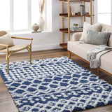 Carter Shag Area Rug Carpet for Living Room Bedroom or Kitchen