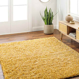 Elkriver Shag Area Rug Carpet for Living Room Bedroom or Kitchen