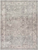 Philipp Traditional Area Rug Carpet for Living Room Bedroom or Kitchen