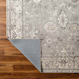 Philipp Traditional Area Rug Carpet for Living Room Bedroom or Kitchen