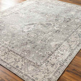 Philipp Traditional Area Rug Carpet for Living Room Bedroom or Kitchen