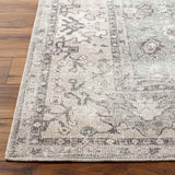 Philipp Traditional Area Rug Carpet for Living Room Bedroom or Kitchen