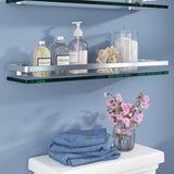 Nale Metal Tempered Glass Rectangle Wall Shelf