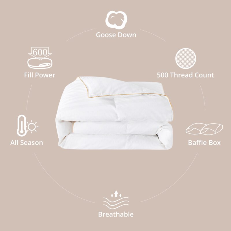 Lypa All Season Goose Down 100% Cotton Cover Comforter