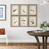 Anew 6 Piece Floral Botanical Picture Frame Graphic Art Set