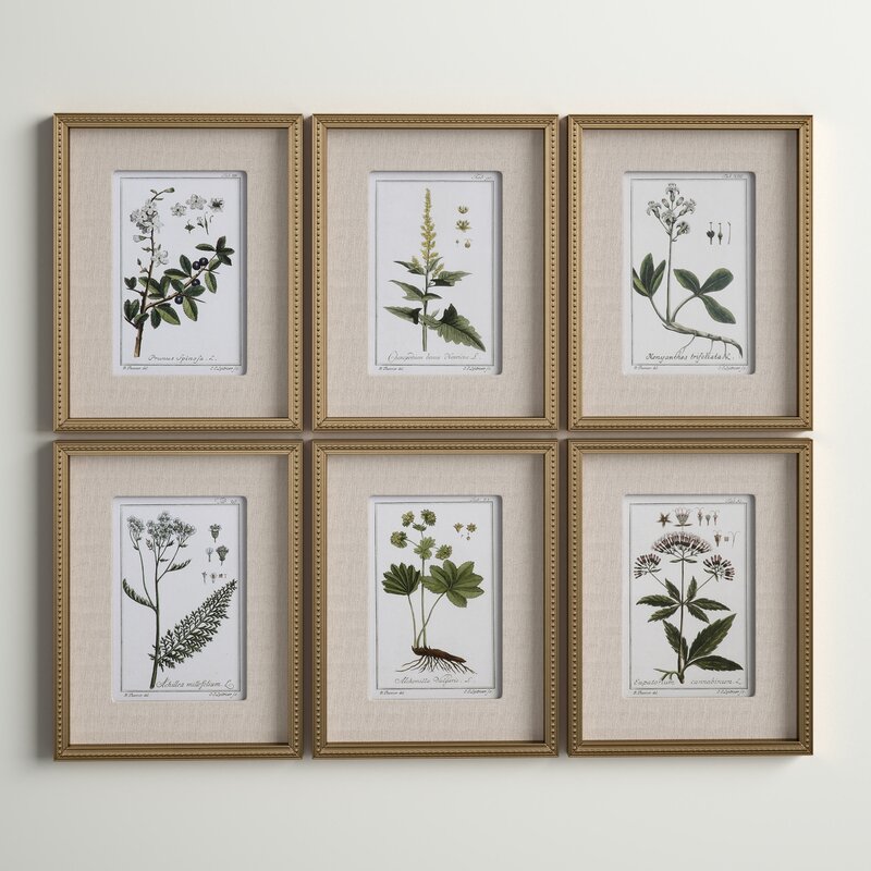 Anew 6 Piece Floral Botanical Picture Frame Graphic Art Set