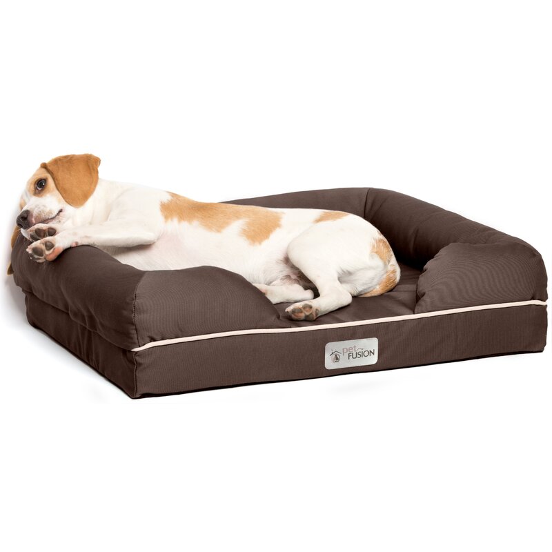 Ohlman Dog Bed & Lounge with Orthopedic Memory Foam Bolster