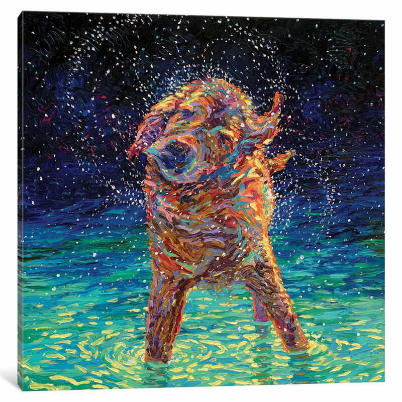 Spainlau Wrapped Square Wet Dog Canvas Print