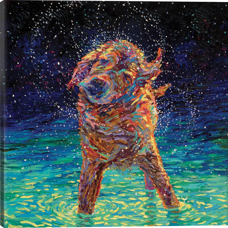 Spainlau Wrapped Square Wet Dog Canvas Print