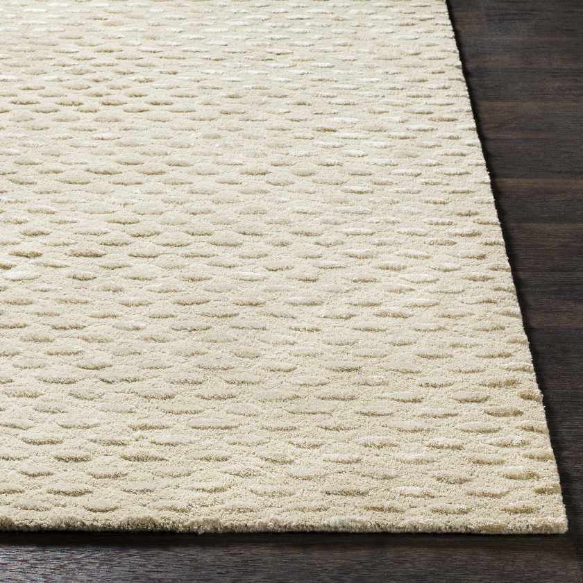 Goldmsall Solid and Border Area Rug
