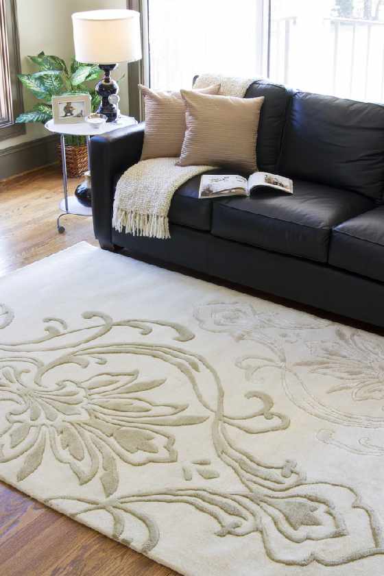 Conew Transitional Area Rug