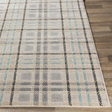 Culhing Transitional Area Rug