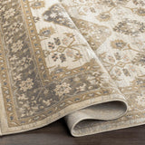Louo Updated Traditional Area Rug