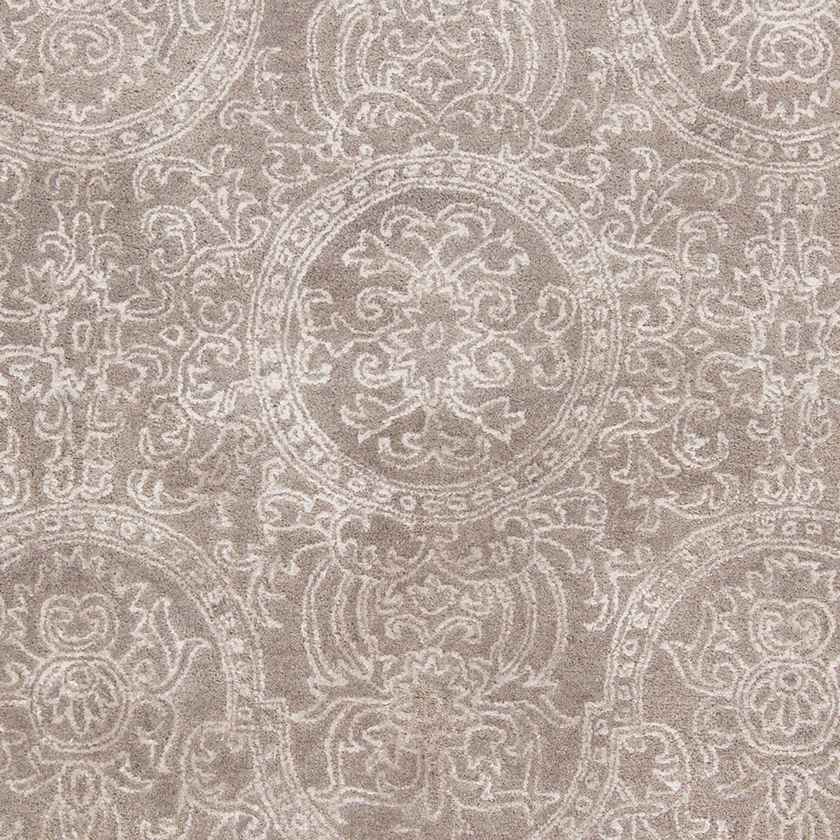 Toches Transitional Beige/Brown Area Rug