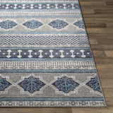 Quoispel Transitional Area Rug