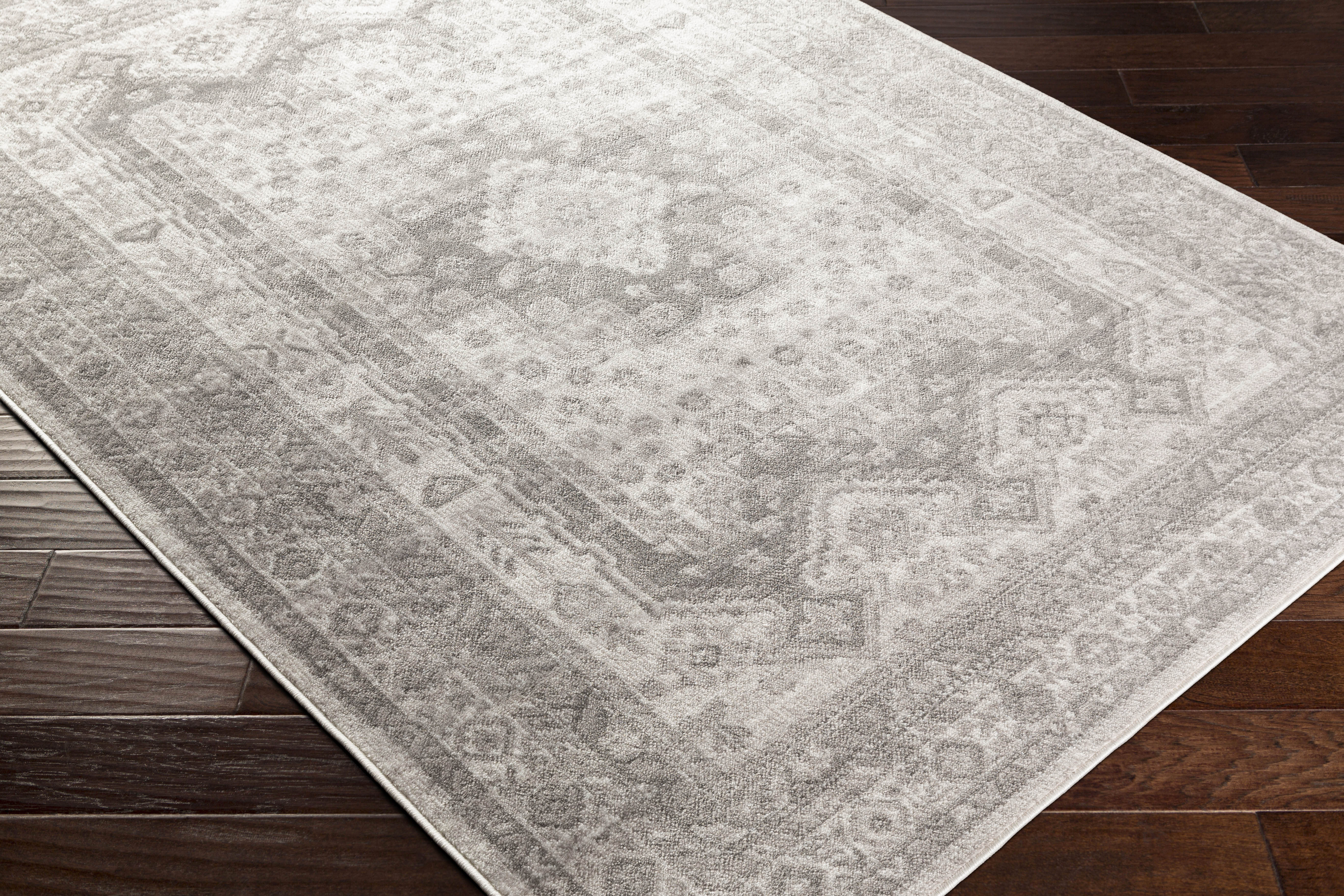 Dgarlac Transitional Area Rug