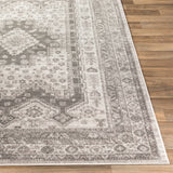 Dgarlac Transitional Area Rug