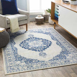 Coostos Updated Traditional Area Rug