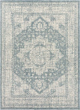 Rdersaint Updated Traditional Area Rug