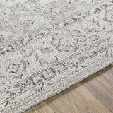 Rdersaint Updated Traditional Area Rug